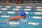 Swimming & Diving vs Babson  Swimming & Diving vs Babson College. - Photo by Keith Nordstrom : Wheaton, Swimming